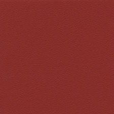 Fortuna Red