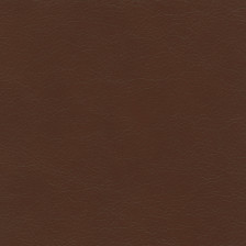 Mustang Brown