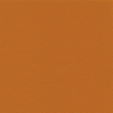 Mustang Orange