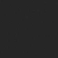 Fortuna Black Fortuna Black
